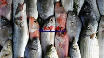 تحديثات سوق العبور.. تغيرات جديدة في أسعار الأسماك خلال تعاملات يوم الاثنين